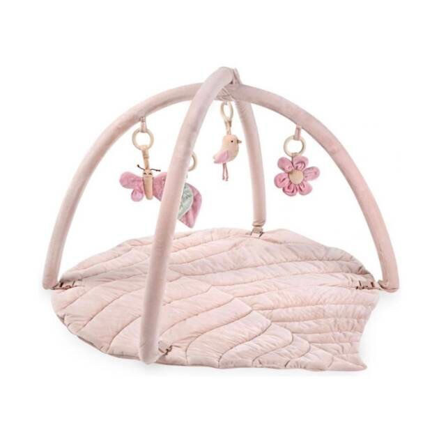 אוניברסיטה לורה