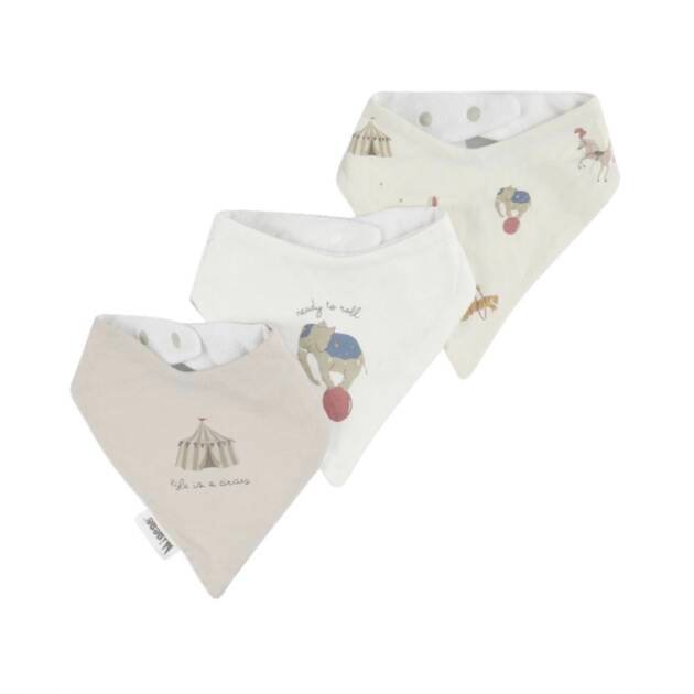 שלישיית סינרי בנדנה מיננה