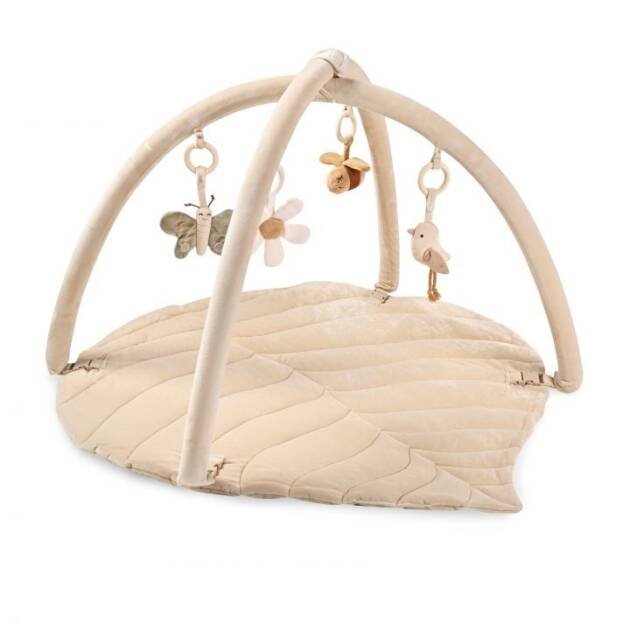 אוניברסיטה בז׳ לורה